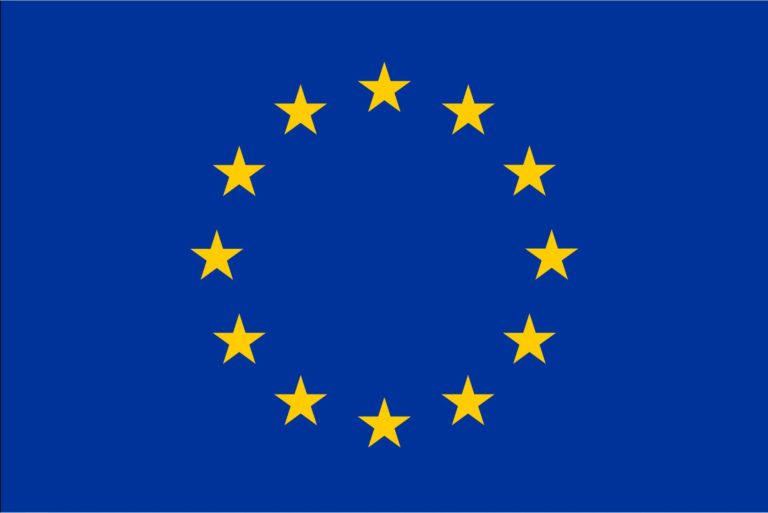 EU-Alternativen für Dienstleistungen aus den USA