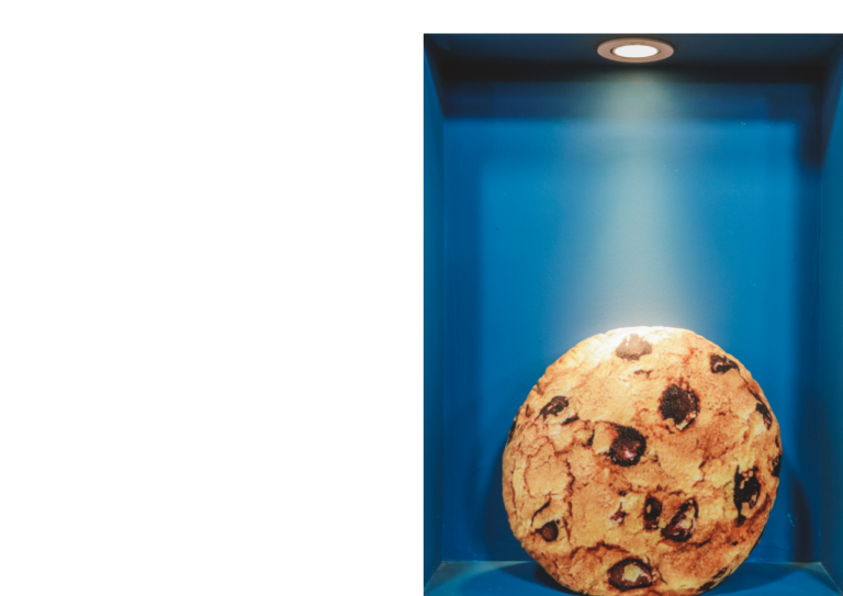 Datenschutz: Manche Cookies kosten